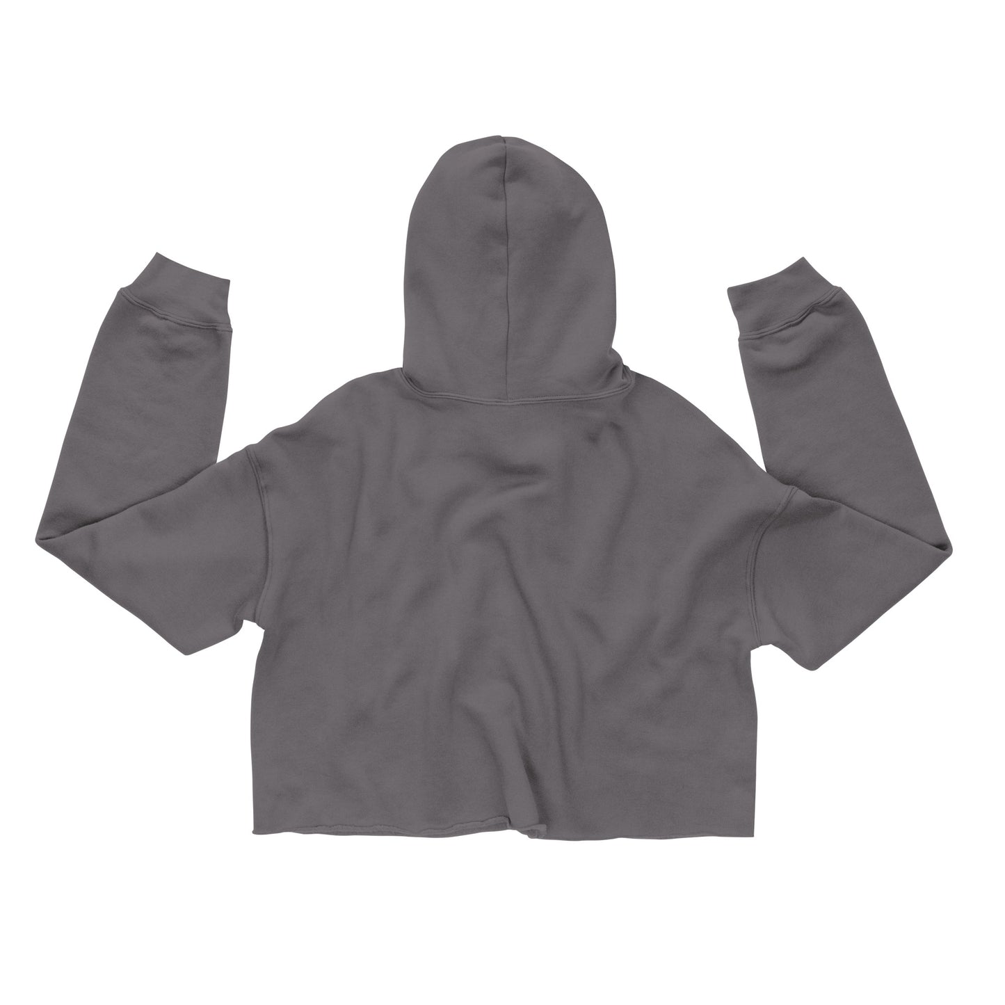 Crop Hoodie Let your Light Shine